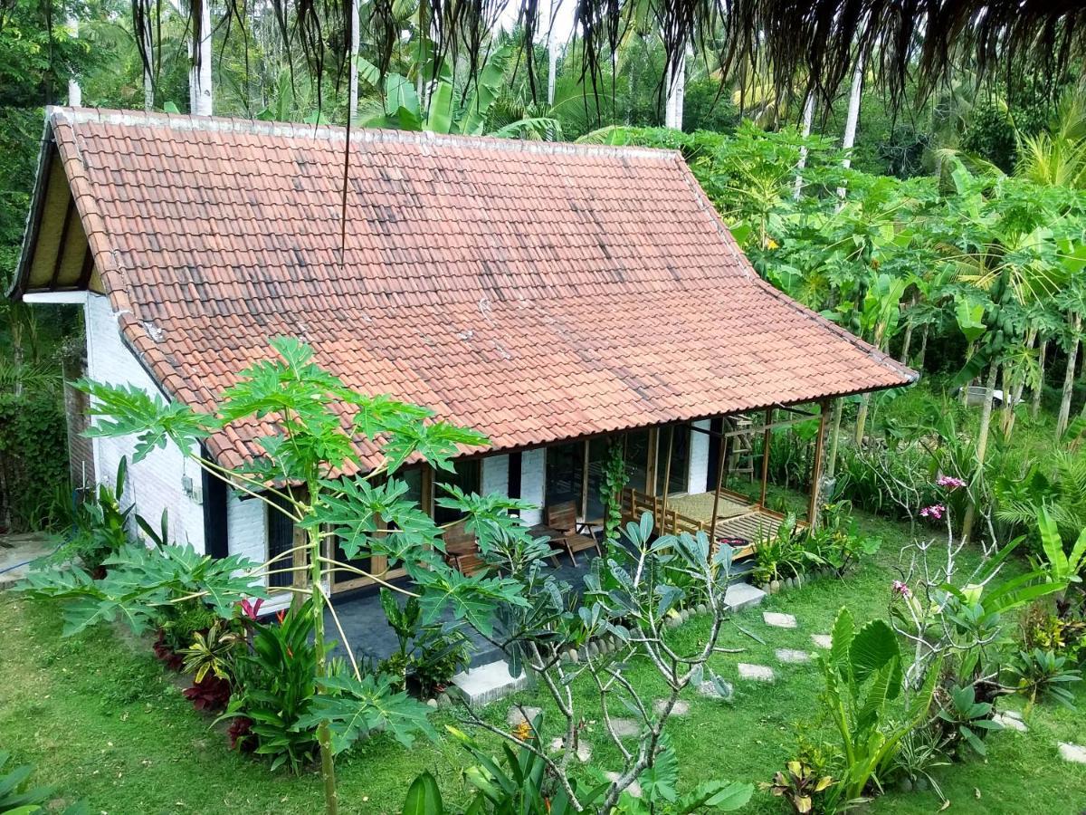 Jungle House - Surf & Stay Pulukan Esterno foto