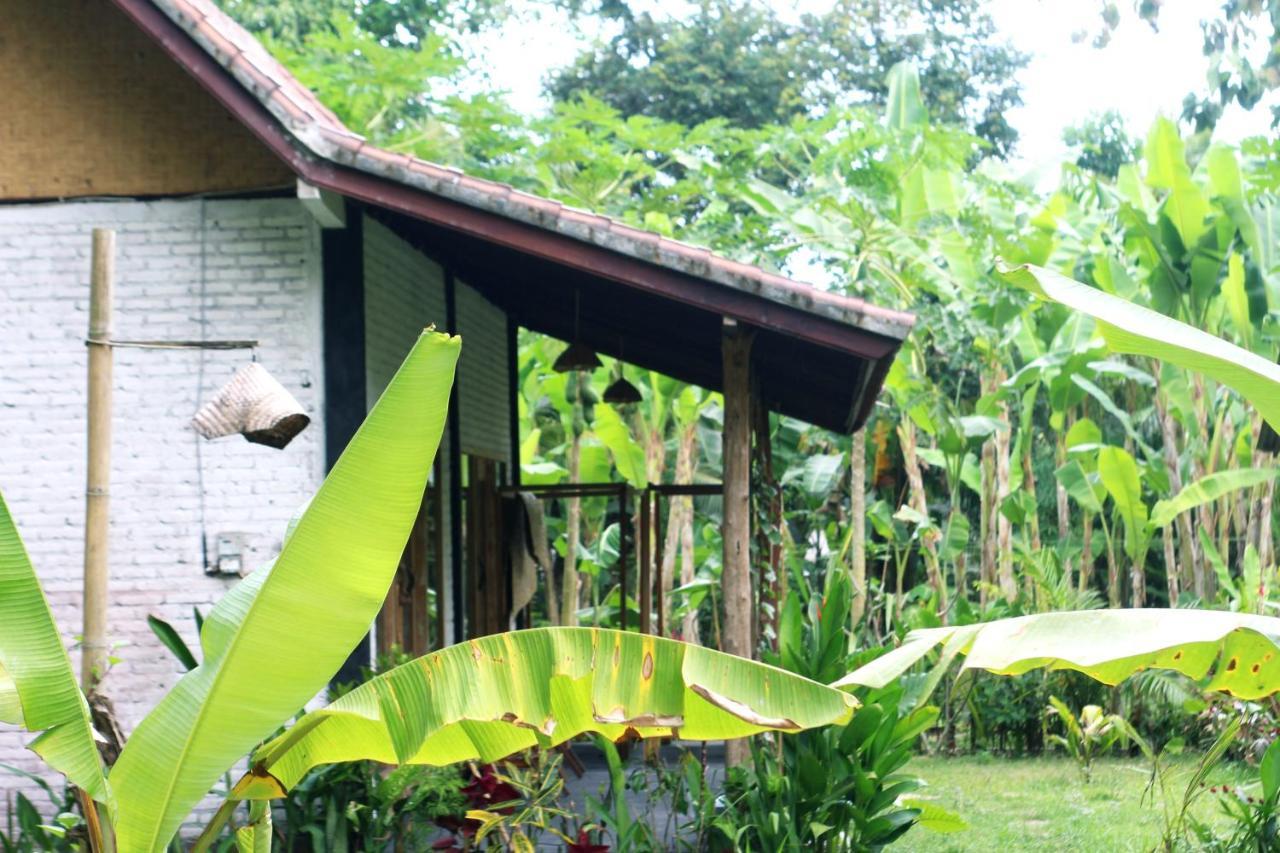 Jungle House - Surf & Stay Pulukan Esterno foto